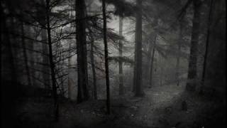 Sepultura ft Mike Patton - The Waste