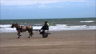 preview picture of video '12 MEI 2014WESTENDE STRAND PAARDENKAR VIDEO'