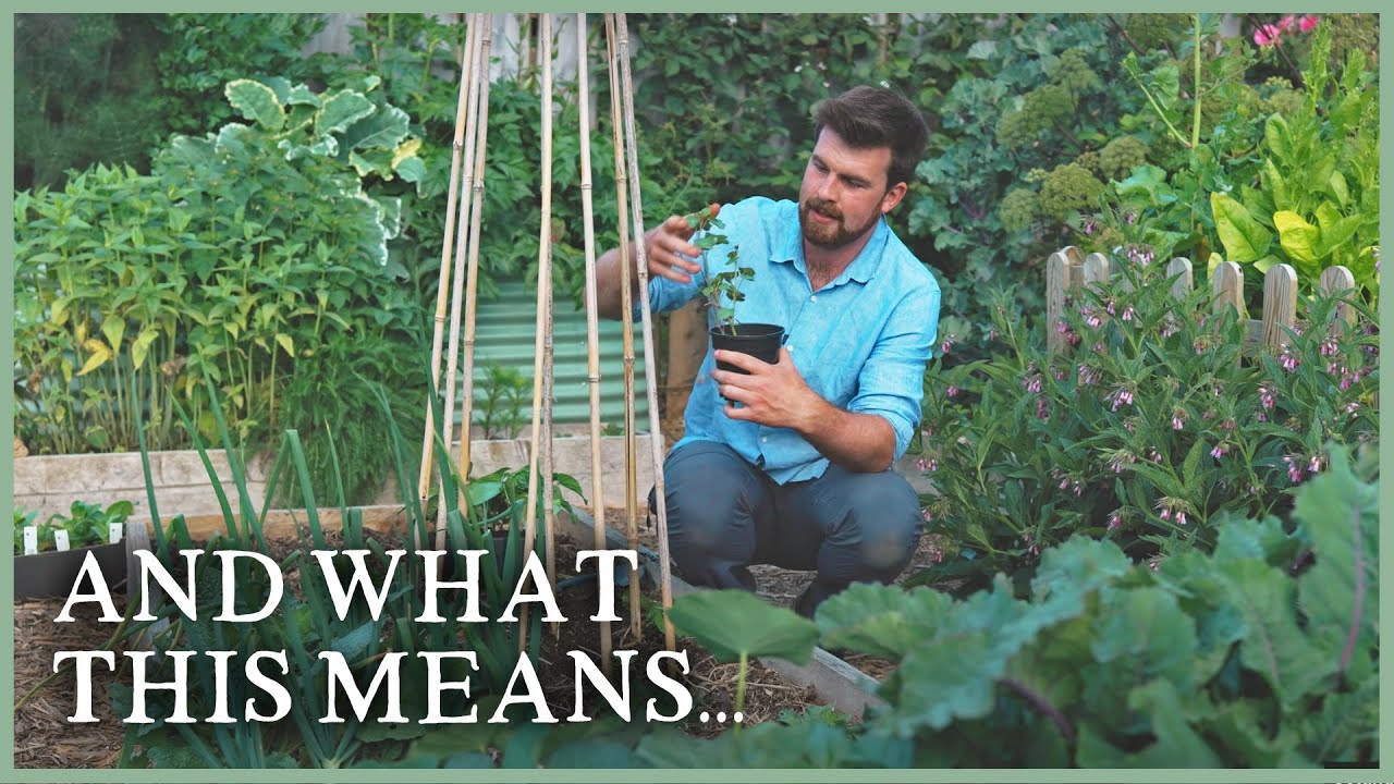 Why I've Stopped Caring as Much in the Garden | The Kitchen Garden Ep6