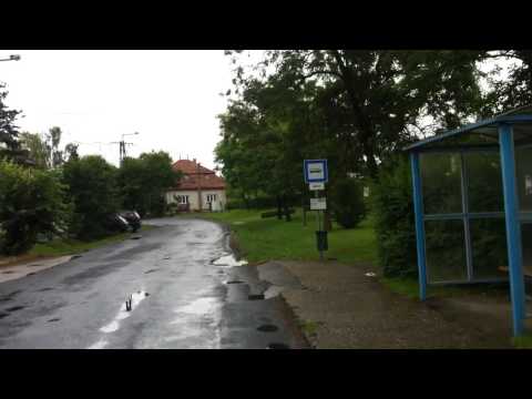 Kaposvár 8-as járat; Helyi autóbusz-állomás - Szabó Pál u. - Toponár