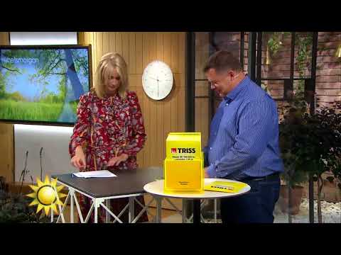 Trissvinnaren:"det ska bli en liten gåva till cancerfonden" - Nyhetsmorgon (TV4)