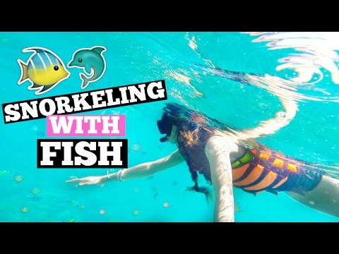 SNORKELING WITH FISH!! | Thailand Day 6