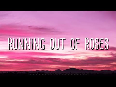 Alan Walker x Jamie Miller - Running Out Of Roses (Lyrics)