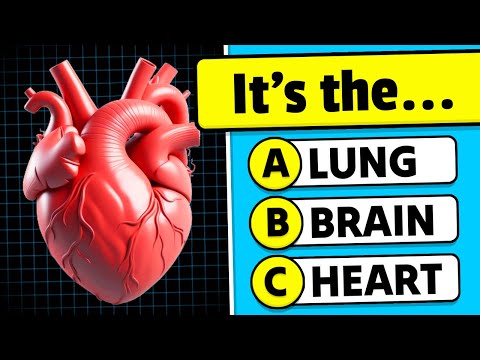 ???? Can You Pass This Human Body Quiz? ???????????? General Knowledge Quiz