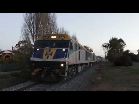 EL62-EL56-EL60 with 7MC5 at Avenel - 17/06/2023