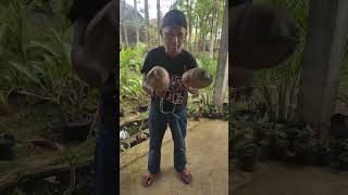 Download lagu lato lato//korban latto latto😁 mp3