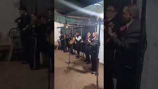 Mariachi Jalisco de cd Delicias video 1