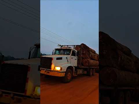 PARTE 7 | RETORNANDO DE PANDO A COCHABAMBA ¡BRUTAL SAQUEO DE LA MADERA