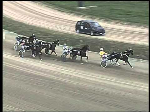 Trotto 09/11/2014 - 2° corsa