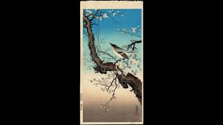 Damien Dempsey - Pretty Bird Tree (feat. Pauline Scanlon)