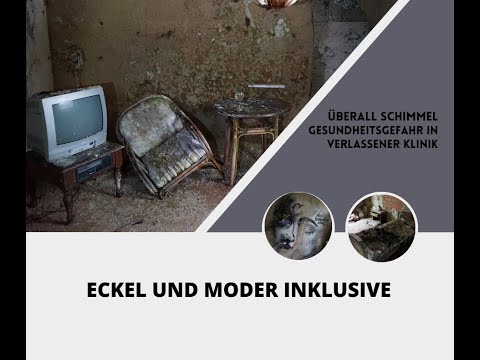 Gesundheitsgefahr in der Schimmel Klinik