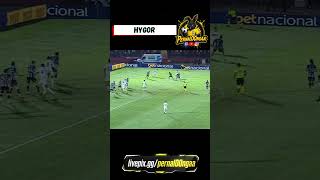 1° Gol do Botafogo-SP - Hygor (Botafogo-SP 1x1 Operário-PR) Brasileirão B 14/06/2026