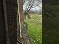 Two trees down in one day