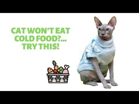 Pet won't eat COLD Food?? Try this!