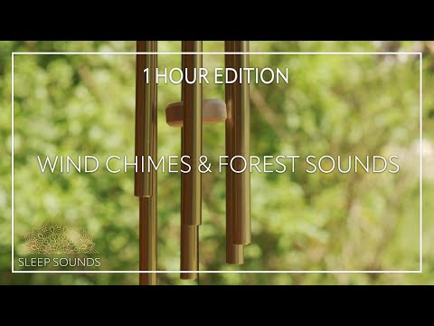 Wind Chimes • Bird Songs & Forest Sounds • 1hr • Sleep • Study • Focus • Meditation • Relaxation