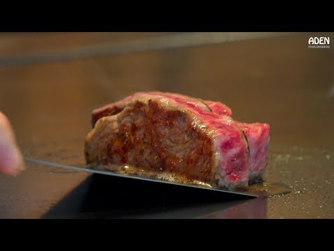 $185 Steak Lunch in Tokyo - Teppanyaki in Japan