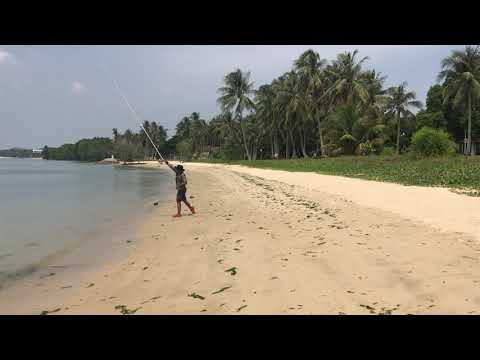 DAIWA INTERLINE ROD 30-425