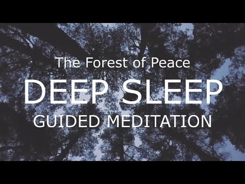 Guided meditation for Deep Sleep - The Forest of Peace and Relaxation