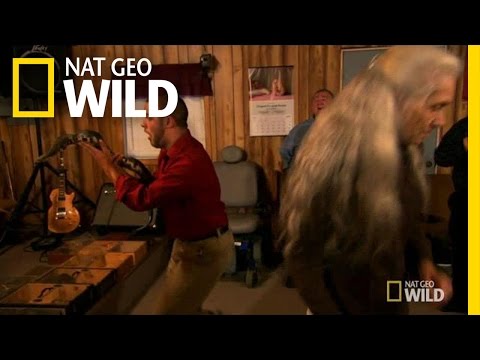 Snake Handling | Animal Underworld