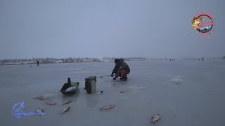 Ставка для рыбалка в николаевской области софиевское водохранилище