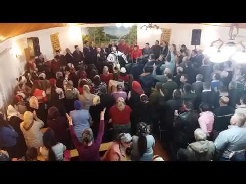 Adunare Ciuta 21.01.2017