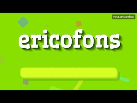 ERICOFONS - HOW TO PRONOUNCE IT!?