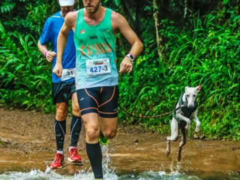 Conheça o projeto Vai Totó que terá evento no dia 02 de setembro em Caxias do Sul