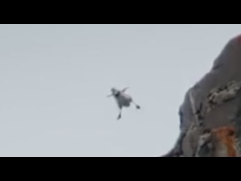 pull up t e r r a i n