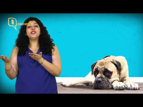 Video Clip 3 — Dil Dhadakne Do