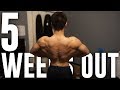 5 WEEKS OUT - PHYSIQUE UPDATE - FLEXING & POSING