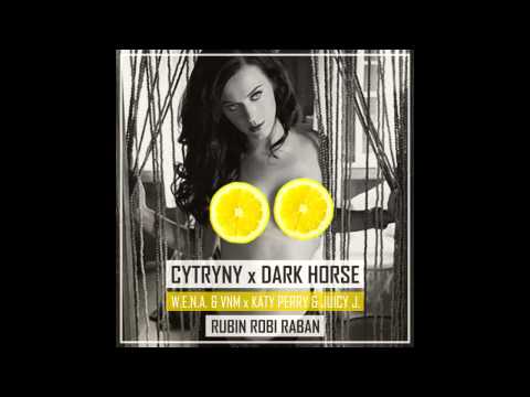 CYTRYNY x DARK HORSE / W.E.N.A. & VNM x Katy Perry (Rubin Robi Raban blend)