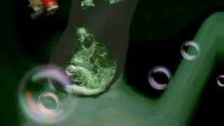 Leanin&#39; Off Dat Yurple - Lil Wyte