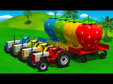 LOAD AND TRANSPORT GIANT STRAWBERRY WITH VALTRA TRACTORS - Farming Simulator 25