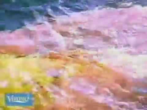 veronica text 20-09-1995