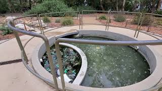 See Illustrations to Save the Environment