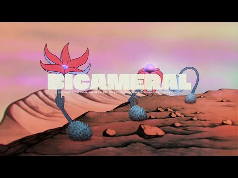 The Range - Bicameral (Official Video)