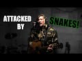 "Attacked by Snakes!" - The Aquabats! (Acoustic Cover)