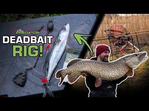 Get MORE HOOKUPS with these MINIMAL RESISTANCE Pike Deadbait Rigs 🎣