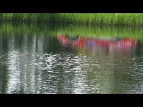 Hayden Paddon and hyundai i 20 wrc pet rally Finland. Includes fearless mouse.