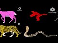 The Kids Picture Show HD Indian Mammals 2 Ending Credits