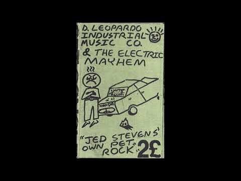 D.L.I.M.C. - Jed Stevens Own Pet Rock