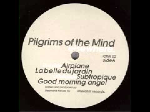 Pilgrims Of The Mind 