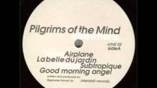 Pilgrims Of The Mind "Good Morning Angel"