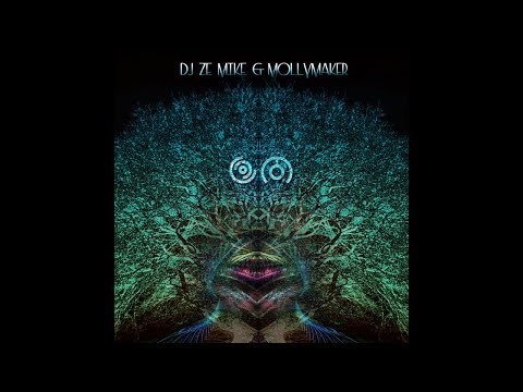 DJ Ze Mike & MOLLYMAKER - Ом [Official Audio]
