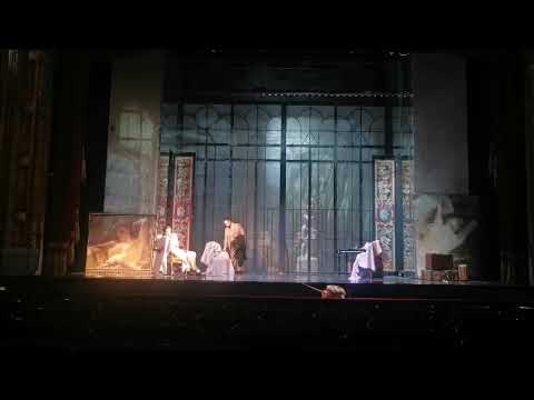 Matija Meić - Di provenza il mar, il suol (Traviata, G. Verdi)