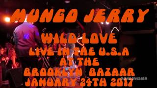 Mungo Jerry  Wild Love  Live In The USA At The Brooklyn Bazaar 2017