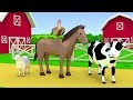 Domestic Animals Of The Farm