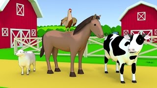 Animals | Con Tự Học Animals | Con Tự Học