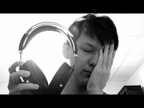 Hifiman Sundara Re-view: 1 Year Later + HD 560s First Impressions