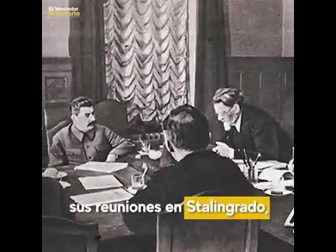 INTERESTING STALIN AND THE PLUCKED HEN